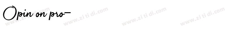 Opin on pro字体转换